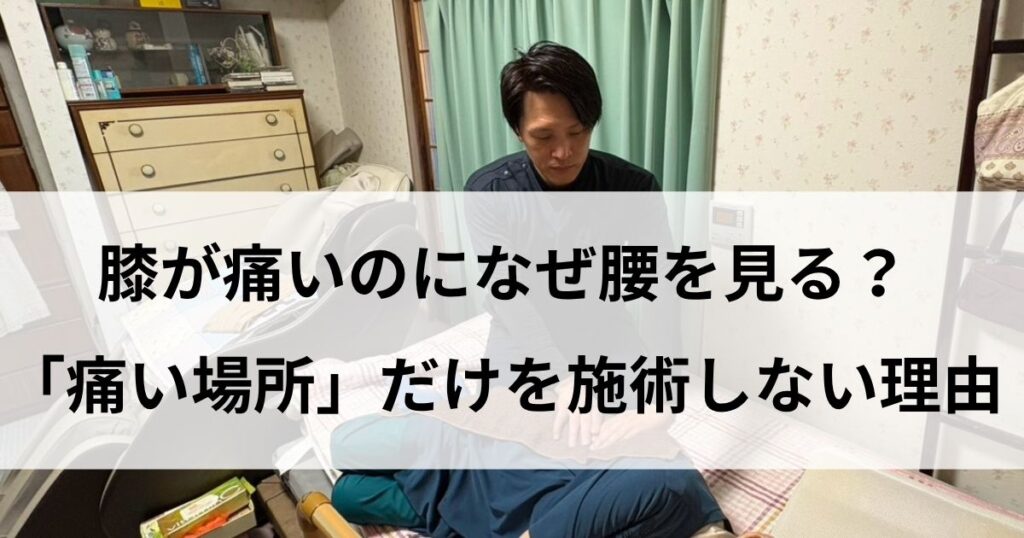 院長鈴木が、訪問施術で膝の痛みに対して、なぜ腰を見るのかの理由
